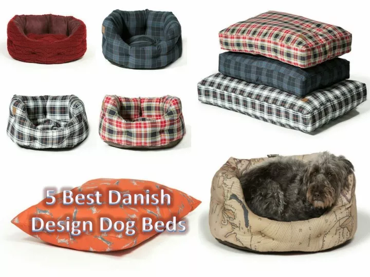 5 best danish design dog beds