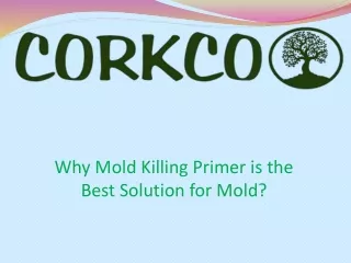 why mold killing primer is the best solution for mold