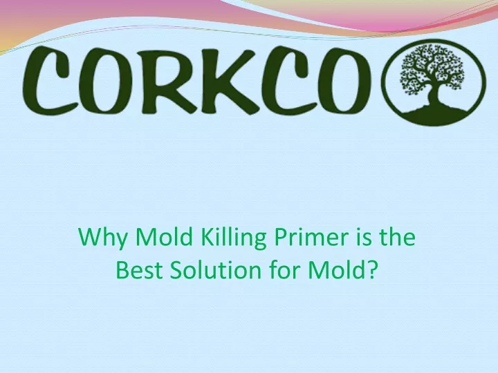 why mold killing primer is the best solution for mold