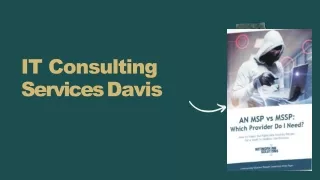 IT Consulting Services Davis