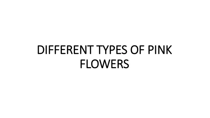 different types of pink flowers