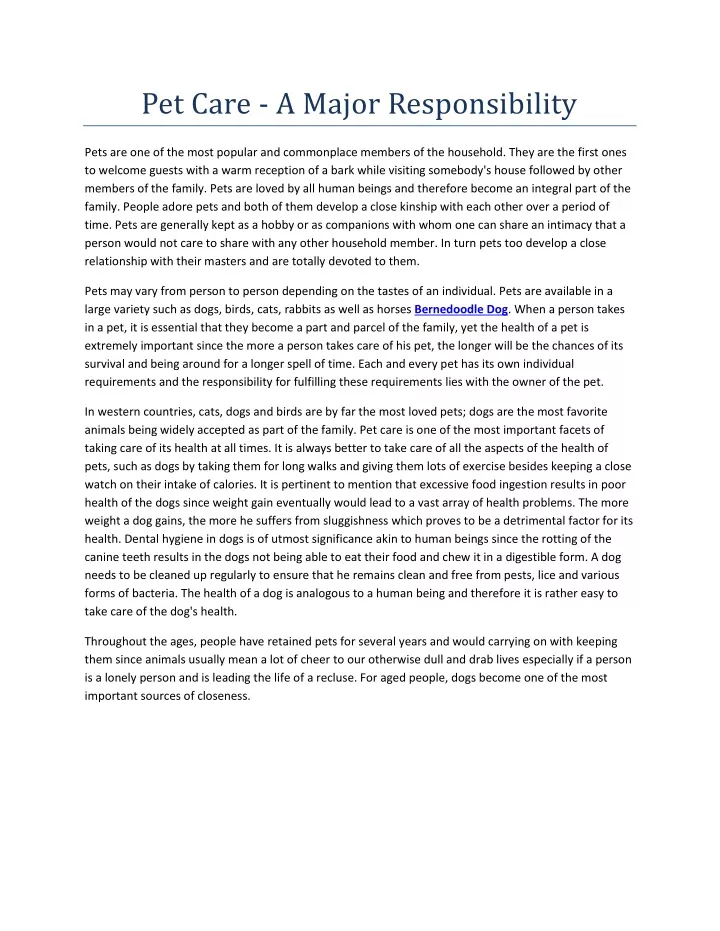 pet care a major responsibility