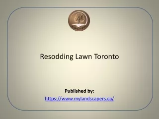 Resodding Lawn Toronto