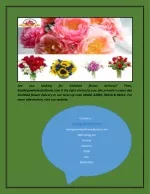Get Carlsbad Flower Delivery | San Diego Wholesale Flowers