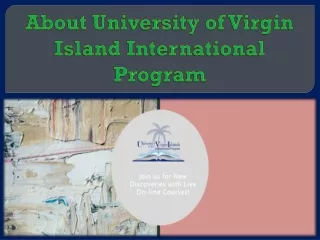 About University of Virgin Island International Program