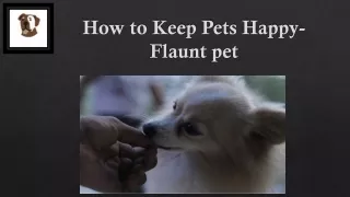 How to Keep Pets Happy- Flauntpet