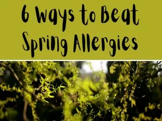 6 Ways to Beat Spring Allergies