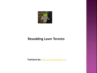 Resodding Lawn Toronto