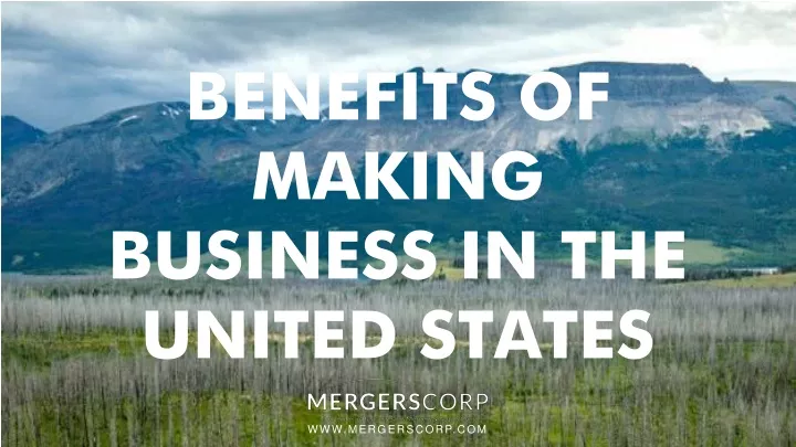 benefits of making business in the united states