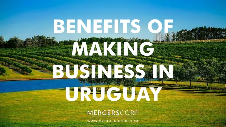 benefits of making business in uruguay