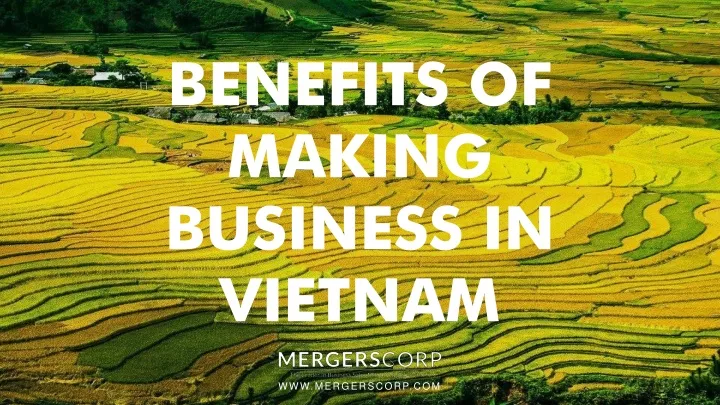 benefits of making business in vietnam