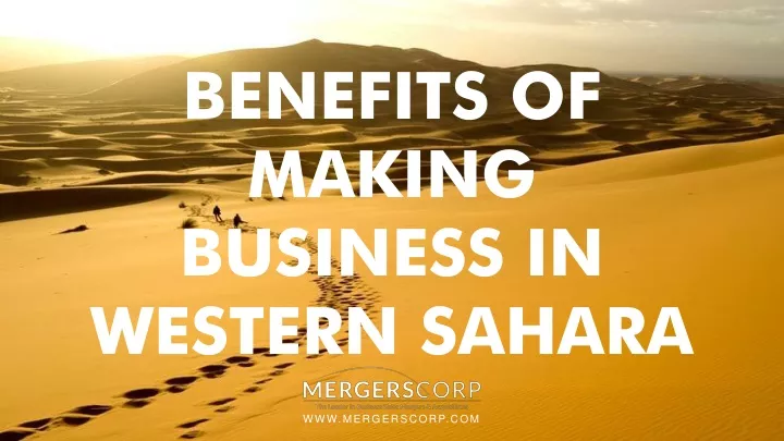 benefits of making business in western sahara