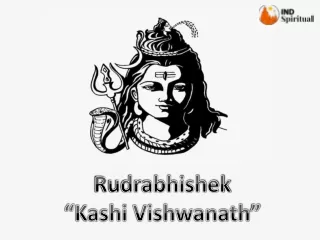 Rudrabhishek -Kashi Vishwanath
