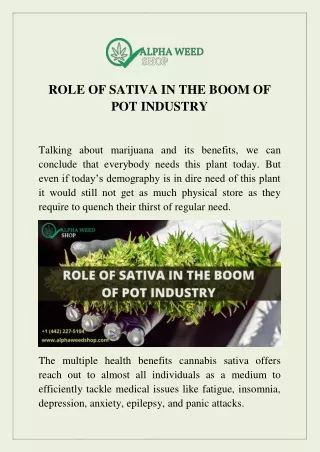 ROLE OF SATIVA IN THE BOOM OF POT INDUSTRY