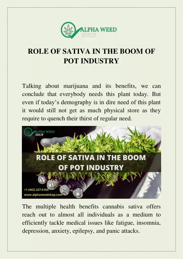 role of sativa in the boom of pot industry