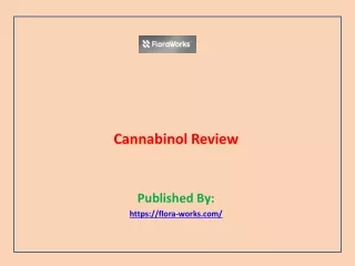 Cannabinol Review