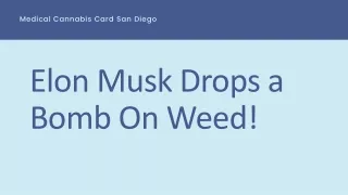 Drops a Bomb On Weed by Elon Musk