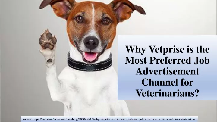 why vetprise is the most preferred job advertisement channel for veterinarians