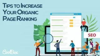 Tips To Increase Your Organic Page Ranking - CBX Studio