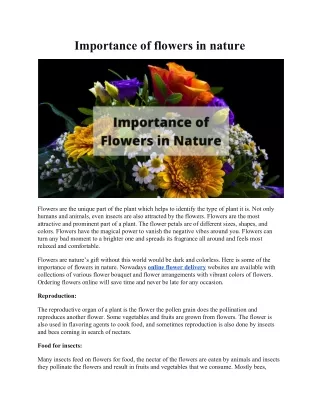 The Importance of Flowers in Nature