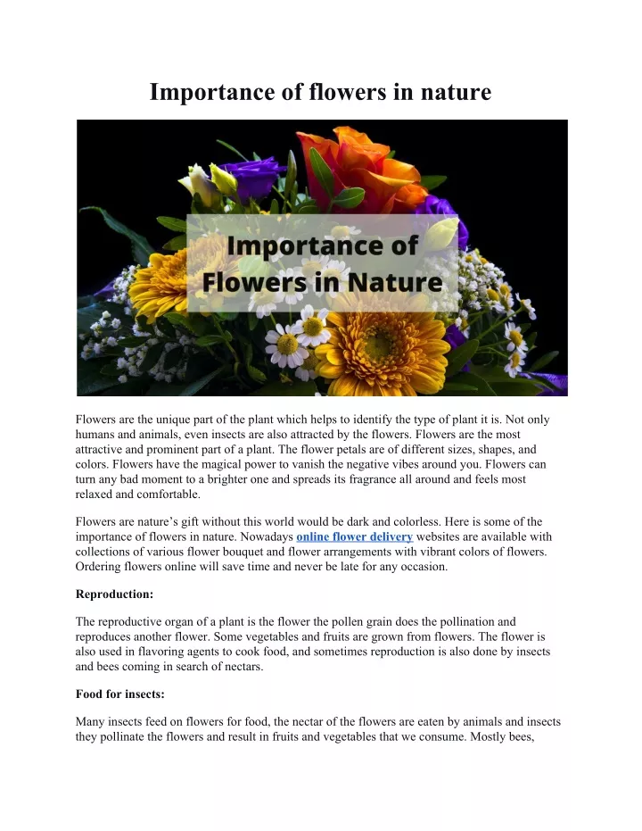importance of flowers in nature