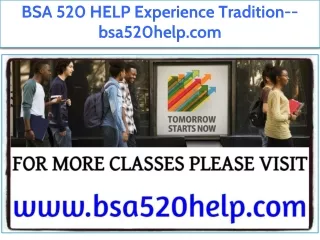 BSA 520 HELP Experience Tradition--bsa520help.com