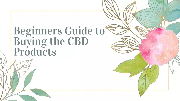 beginners guide to buying the cbd products