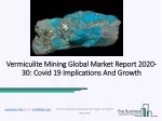 Vermiculite Mining Market Industry Developments, Outlook, Current Trends By 2030 - slide 1