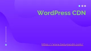 Wordpress CDN Services