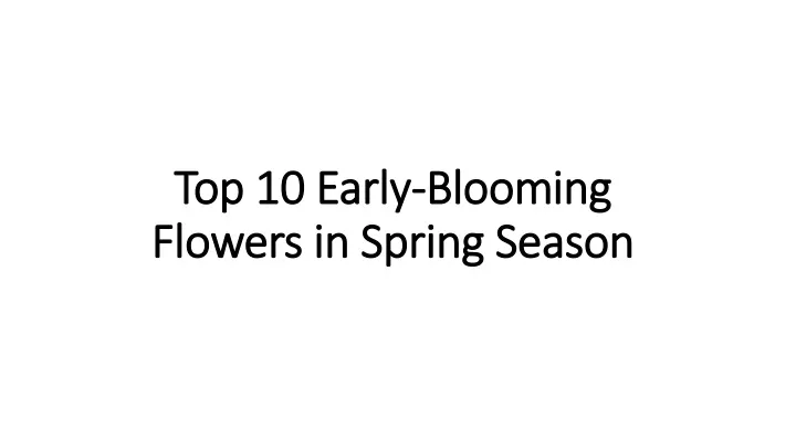 top 10 early blooming flowers in spring season