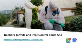 Termite Companies