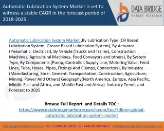 automatic lubrication system market