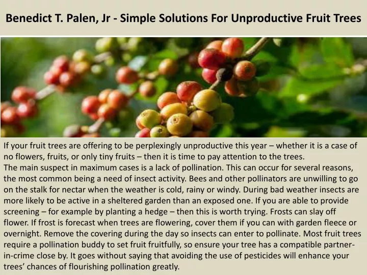 benedict t palen jr simple solutions for unproductive fruit trees