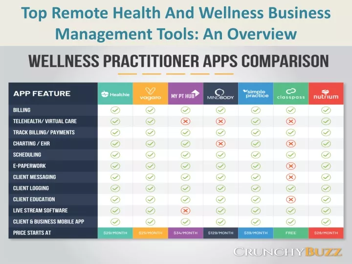top remote health and wellness business