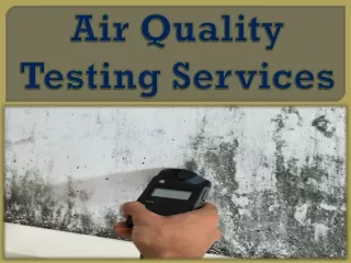 Air Quality Testing Services