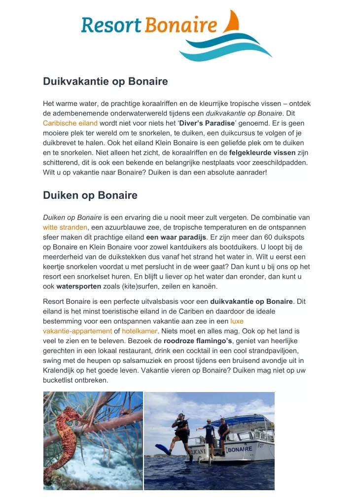 duikvakantie op bonaire