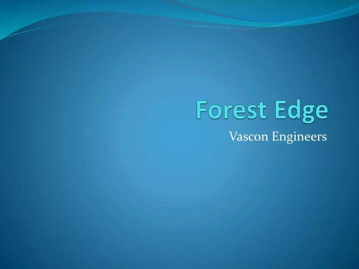 forest edge