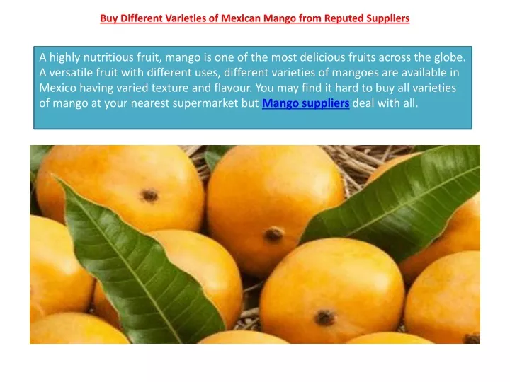 buy different varieties of mexican mango from reputed suppliers