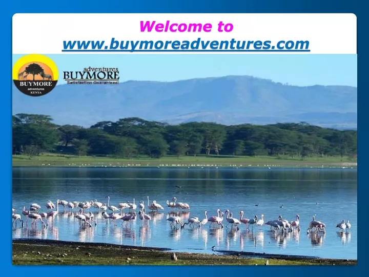 welcome to www buymoreadventures com