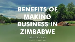benefits of making business in zimbabwe