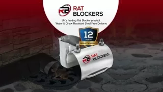 Prevent Rats from Drainage Systems. Rat Blockers for Sale and Installations. Official Rat Blockers website