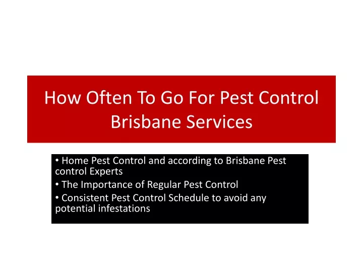 how often to go for pest control brisbane services