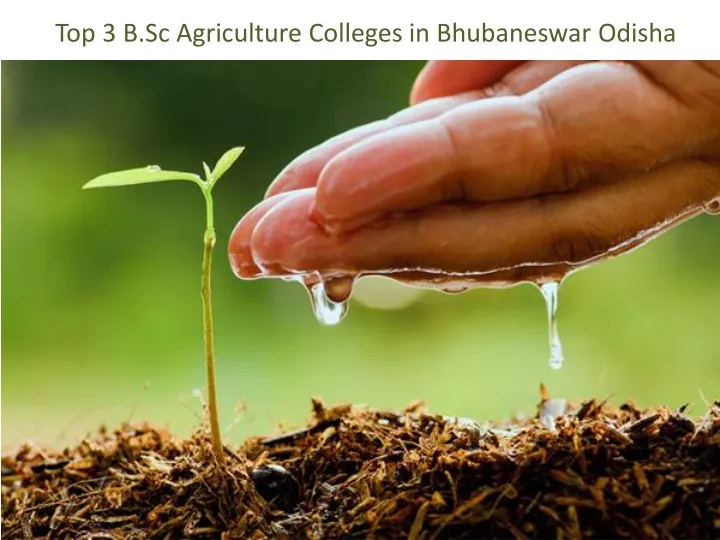 top 3 b sc agriculture colleges in bhubaneswar