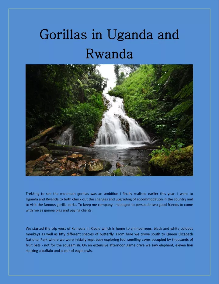 gorillas in uganda and gorillas in uganda