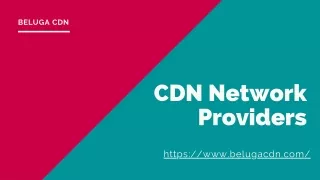CDN Network Providers