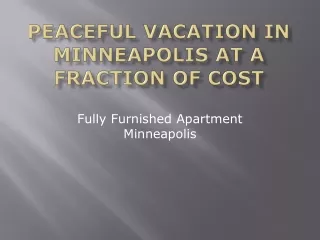 Peaceful Vacation in Minneapolis at a Fraction of Cost