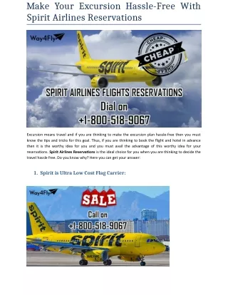 make your excursion hassle free with spirit