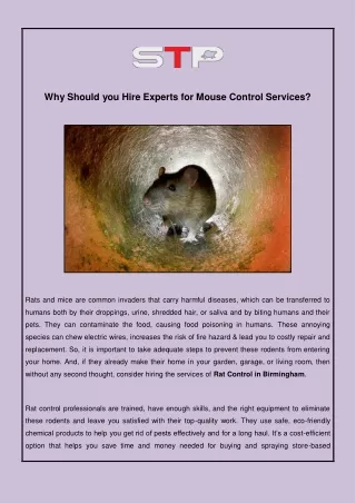 Why Should you Hire Experts for Mouse Control Services?