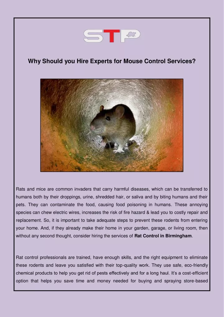 why should you hire experts for mouse control