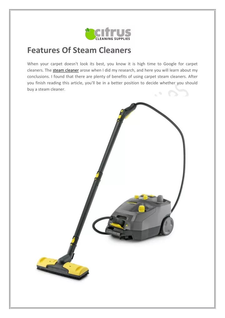 features of steam cleaners
